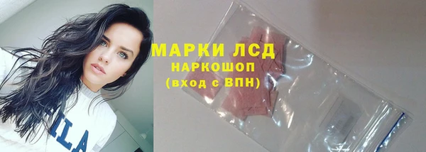 мяу мяу мука Магас